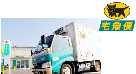 クロネコヤマト